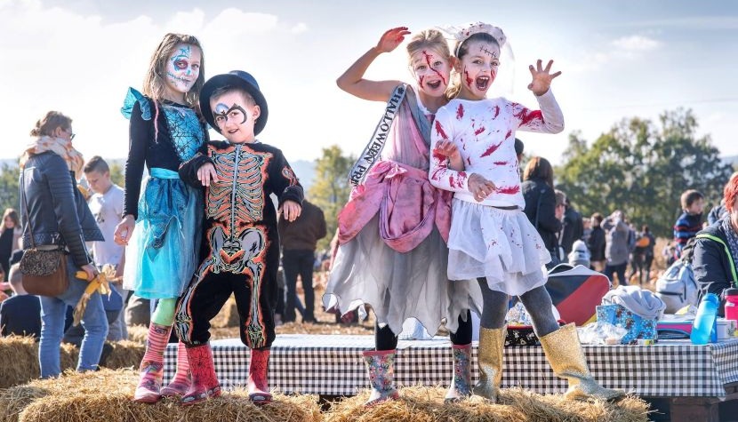 Rogate Pumpkin Patch Halloween